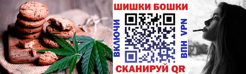 mega сайт  Нолинск  Canna-Cookies марихуана 