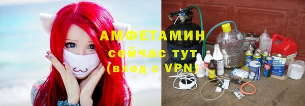 сатива Алзамай