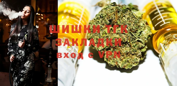 сатива Алзамай