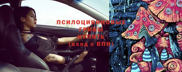 молекула духа Алексин